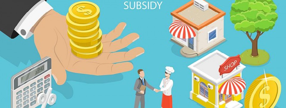 subsidy1
